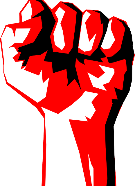 fist-159019_640